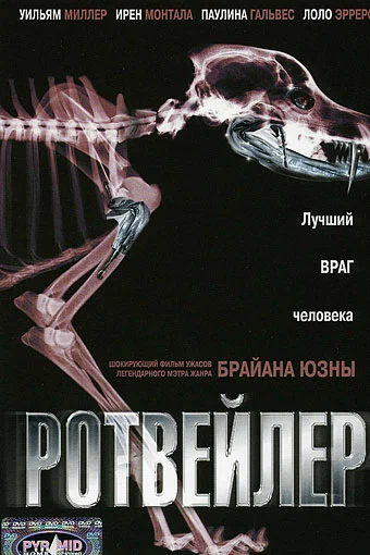 Постер: Ротвейлер